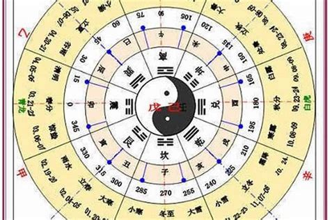 己卯年五行|己卯年出生的人五行属什么，你知道吗？